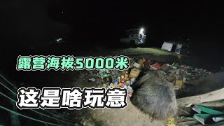 自驾游西藏，露营在海拔5000米无人区，与熊共舞惊险刺激