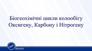 Біогеохімічні цикли колообігу Оксигену, Карбону і Нітрогену. Біологія 11 клас