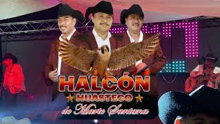 Trio Halcón Huasteco De Marte Santana. El Sonsolito.