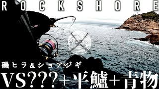 ヒラスズキと青物狙いでまさかの○T【Rock Trip#2】Fishing blackfin seabass in cyclone wave