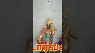 மார்கழி மாதம் 27வது நாள் கூடாரவல்லி வைபவம் #shorts