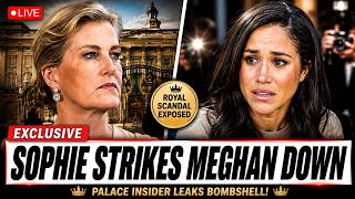 Sophie’s BOMBSHELL Leak On Meghan Left Harry TOTALLY SHATTERED!