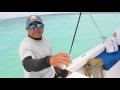 turneffe flats atoll adventure