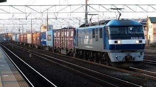 2020/01/21 JR貨物 5070レ EF210-141 清洲駅 | JR Freight: Cargo Train at Kiyosu