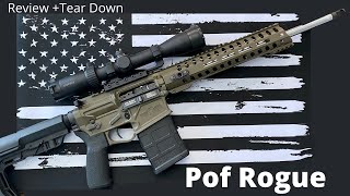 Pof Rogue Review + Tear Down