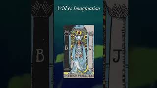 Lemuria, Will & Imagination | Gigi Young #Shorts