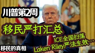 川普第2周铁碗治移民-严法Laken Riley生效，ICE全国大抓捕！出生公民权现状…