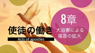 使徒の働き8章「大迫害による福音の拡大」 20230726 CVGC祈祷会