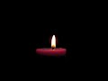 Purple Burning Candle [10 Hours]