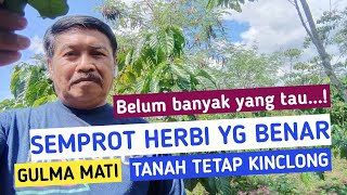 Cara penyemprotan herbisida yang baik dan benar | Ali warsono