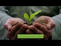 one_minute green logistics i what is green logistics in one minute