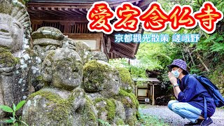 台湾人の京都観光案内・愛宕念仏寺