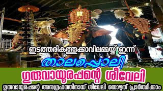 ഗുരുവായൂർ ക്ഷേത്രത്തിലെ ശീവേലിയും പ്രഭാത കാഴ്ച്ചകളും | 07/02/2025 | Guruvayur Temple Morning Shiveli