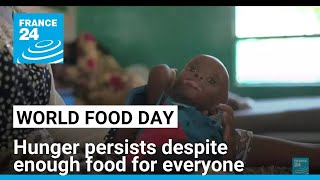 World Food Day: Hunger persists despite enough food to feed everyone • FRANCE 24 English