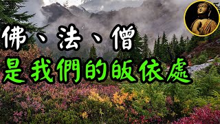 【佛法無邊】皈依是什麼意思？唯有佛、法、僧三寶，是我們真正的皈依處