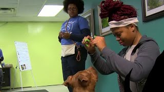 Heart of Detroit: Amy Johnson and Teacher's Pet