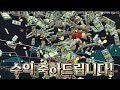 하이파이 큰손들은 매집완료 2차 상승 시점 여기 하이파이 하이파이코인 하이파이전망 하이파이목표가 하이파이호재 급등코인 급등코인추천