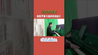 【歌手杨博士】花腔男高音演唱帕瓦罗蒂Pavarotti歌剧《托斯卡》《奇妙的和谐》“Recondita armonia”，太丝滑了！