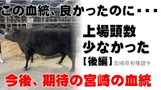 【成績が良かった血統】＆【今後、期待の血統】宮崎県有種雄牛