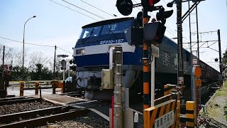 JR 東海道線【No.170】東倉沢踏切・貨物列車 EF210-167 桃太郎 通過・走行映像　静岡県静岡市