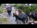 Bhutan, In Search of a Celestial Kingdom Part 1.Road to Merak, an Unchartered Land