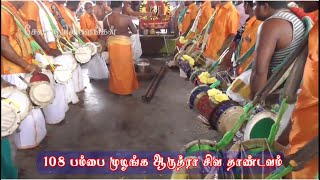 108 பம்பை முழங்க நடராஜர் ஆருத்ரா சிவ தாண்டவம் || Salem 108 pambai for Nadarajar Siva Dhandavam