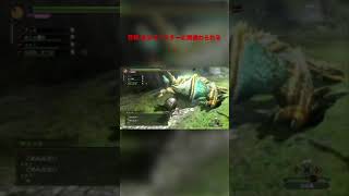 自分ハンターなのにモンスターに間違わられる【MH3G】#shorts