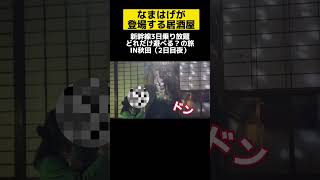 【なまはげとたわむれる居酒屋】3日間新幹線乗放題でどれだけ遊べる？の旅　2日目夜　秋田長屋酒場きりたんぽや地酒堪能 #jr東日本パス #秋田県 #なまはげ #japanesefood