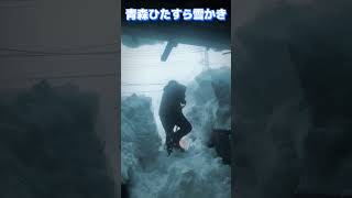 青森で雪かき（適当）#short #青森 #吹雪 #雪道