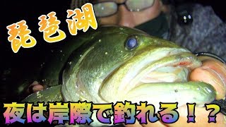 琵琶湖　夜は岸際で釣れる！？　南湖西岸で夜釣り♪　おかっぱり　バス釣り