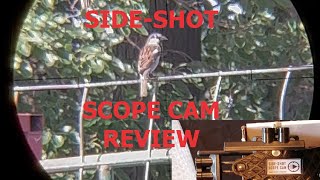 Side Shot Scope Cam Mount Review: With Sparrows !