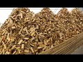 The Firewood Processing Factory / Firewood Production Line / Firewood Processor