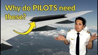 What are SPEEDBRAKES/FLIGHT CONTROL SPOILERS?! Explained by CAPTAIN JOE