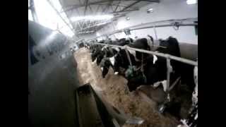 DeLaval DelPro Feed Wagon onboard