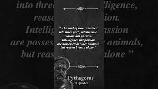 Pythagoras quotes that change your life