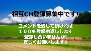 相互CH登録100%お返しします！