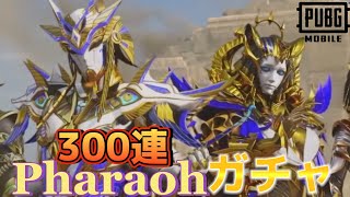 【PUBGMOBILE】PharaohQueenガチャ300連‼︎ 相棒バステトも欲しい‼︎【PUBGモバイル】