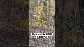 LIKE FOR YOUR READY FOR TURKEY SEASON!🦃 #shorts #turkey #turkeyhunting #shortvideo #springturkey