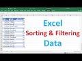 Excel Sorting and Filtering Data