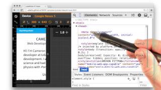 Setting the Viewport Solution - Responsive Web Design Fundamentals