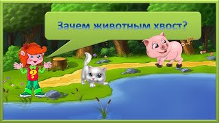 Клуб Почемучек. Зачем животным хвост?