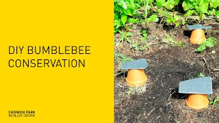 DIY Bumblebee Conservation