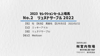 【セレクションセール2023】No.2リュヌドサーブル2022