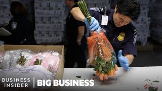 How 1.1 Billion Flowers Are Imported And Inspected In The US For Valentine's Day | Big Business