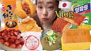 【モッパンVlog】お父さんの泣く姿を初めて見ました🥲🍰🍓安定に食べて飲みまくり🍻