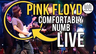Pink Floyd - Comfortably Numb - Cover - Live Cal Jam 2013