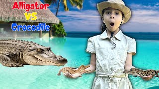 Alligator vs Crocodile | Educational Video for Kids about Reptile | Animals Video by Atrin and Soren