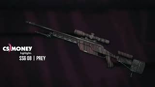 CS:GO | SSG 08 - Prey