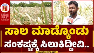 Kalaburagi : ಮಳೆ ಇಲ್ಲದೇ ಒಣಗಿದ ಕಬ್ಬು.. ರೈತ ಕಂಗಾಲು! | No Rain | Sugarcane | @newsfirstkannada