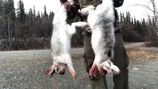 ล่ากระต่าย ล่ากระรอก เพื่อมาเป็นอาหาร Rabbit 🐇 Hunting Alaska